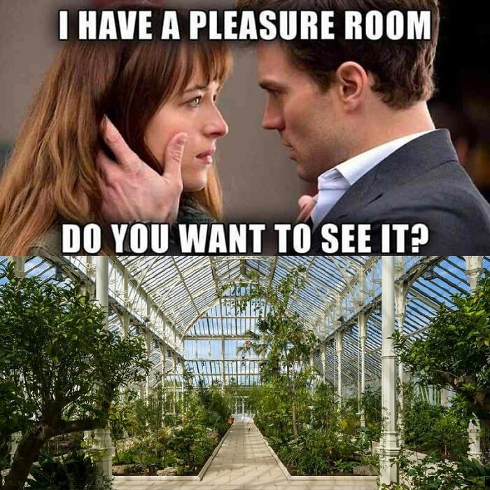 These Plant Memes Are Hilarious And We Found 59 Of The Best Ones!