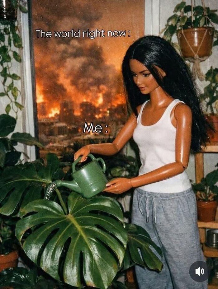 These Plant Memes Are Hilarious And We Found 59 Of The Best Ones!
