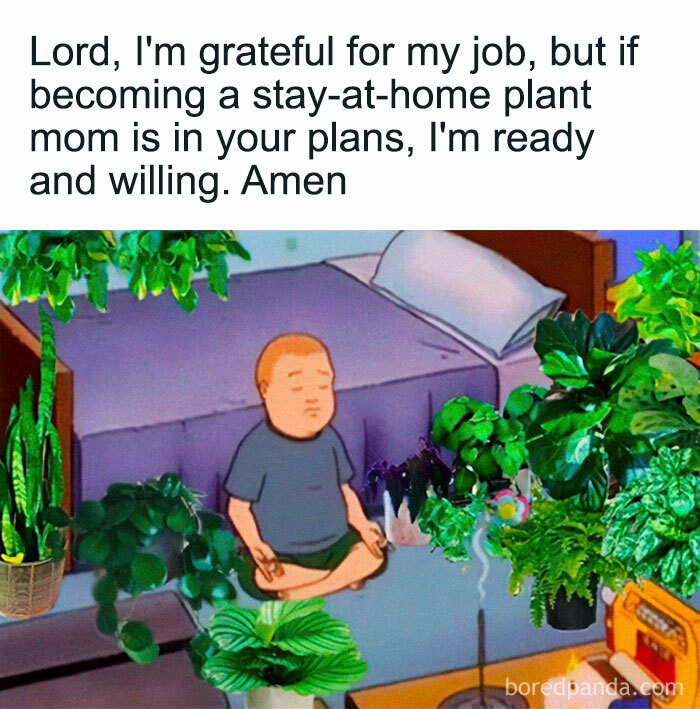 These Plant Memes Are Hilarious And We Found 59 Of The Best Ones!