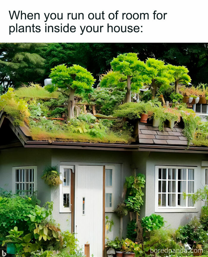 These Plant Memes Are Hilarious And We Found 59 Of The Best Ones!
