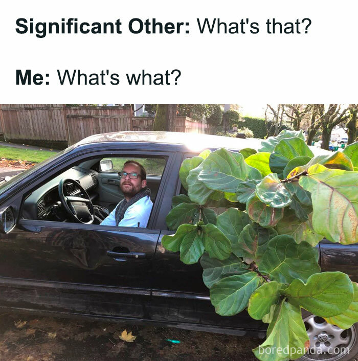 These Plant Memes Are Hilarious And We Found 59 Of The Best Ones!