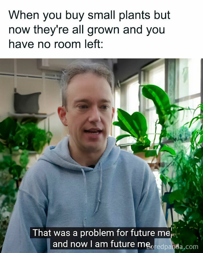 These Plant Memes Are Hilarious And We Found 59 Of The Best Ones!