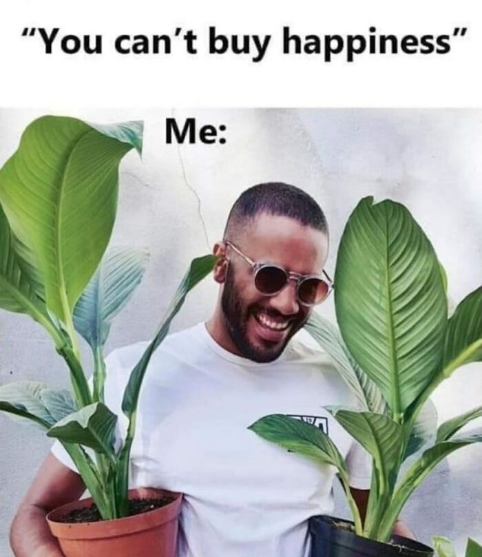 These Plant Memes Are Hilarious And We Found 59 Of The Best Ones!