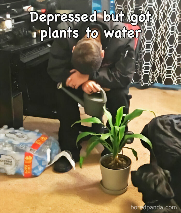 These Plant Memes Are Hilarious And We Found 59 Of The Best Ones!
