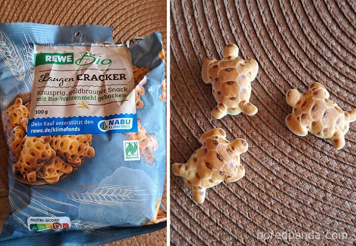 Crackers That Thought They Were Turtles