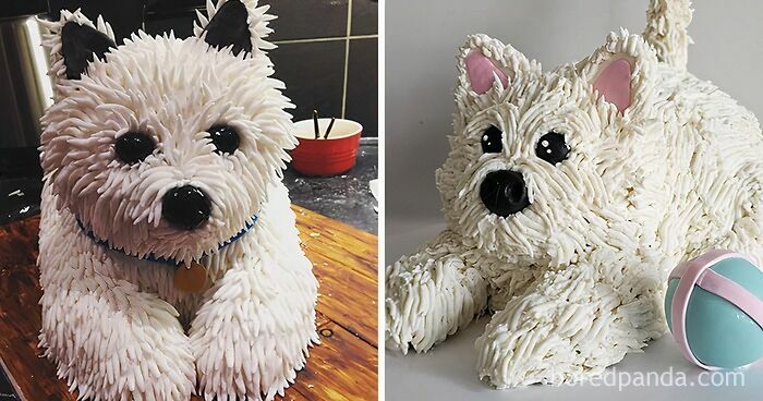 Kid's Cake Dream VS Reality