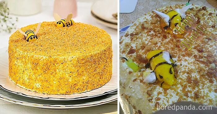 Birthday Cake Fail That Turned Into Comedy Gold