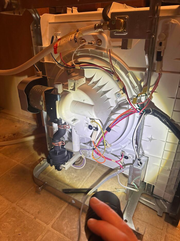 My Dishwasher Died, So I Tried Fixing It—And It Just Might Work!