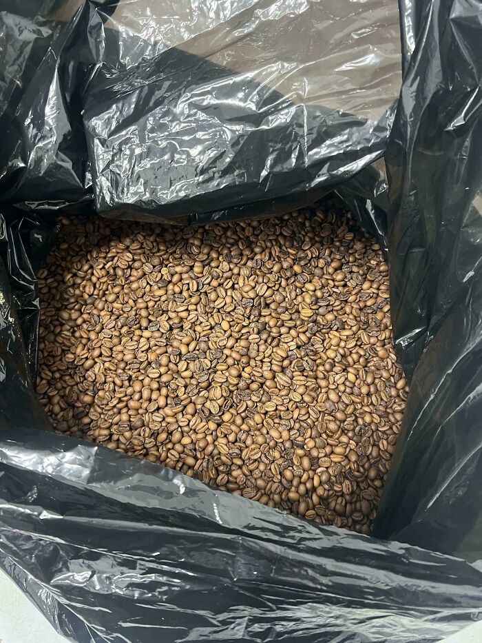 Grabbed 12kg of Fresh Coffee—Work Perk Jackpot!