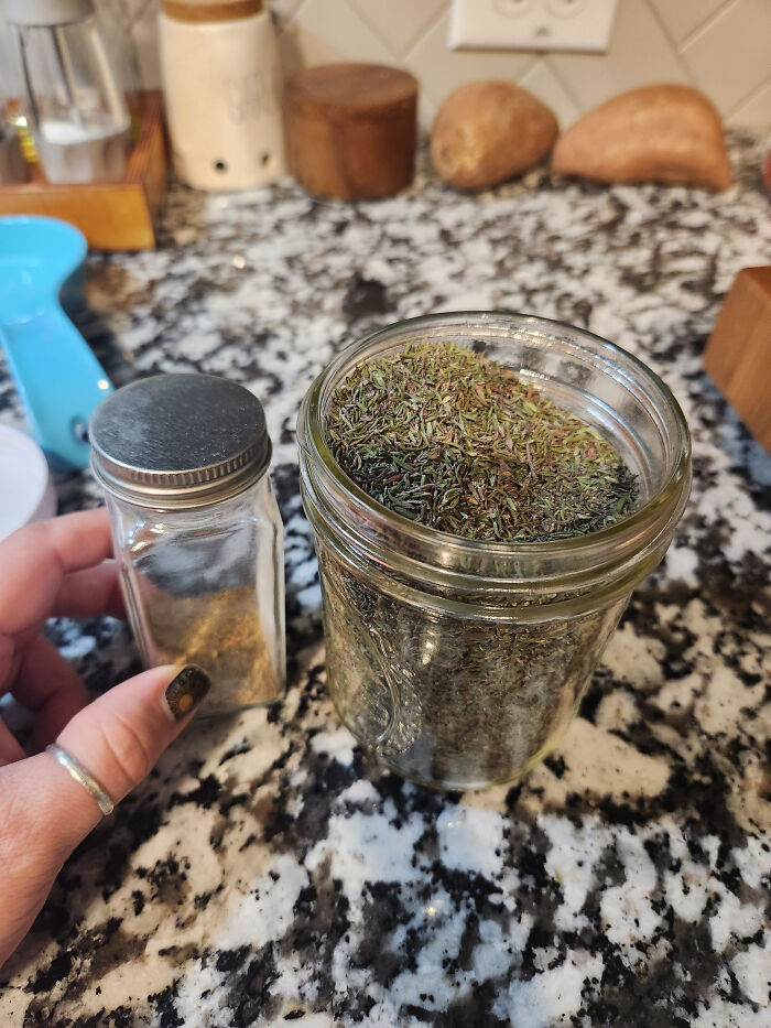 Went From Buying Jar Spices to Growing & Drying My Own—Thyme Saver!