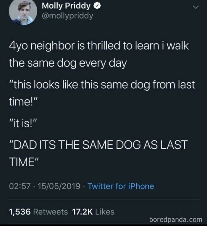 It’s The Same Dog Again!