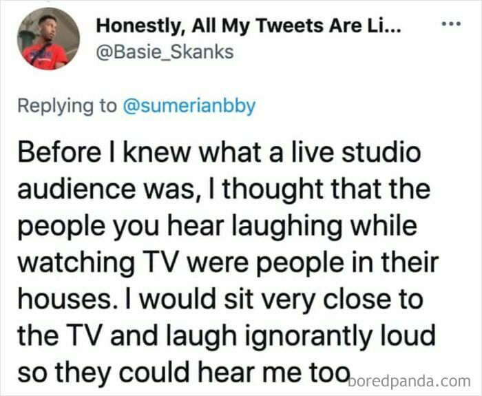 He Should Have Checked Behind The TV Too