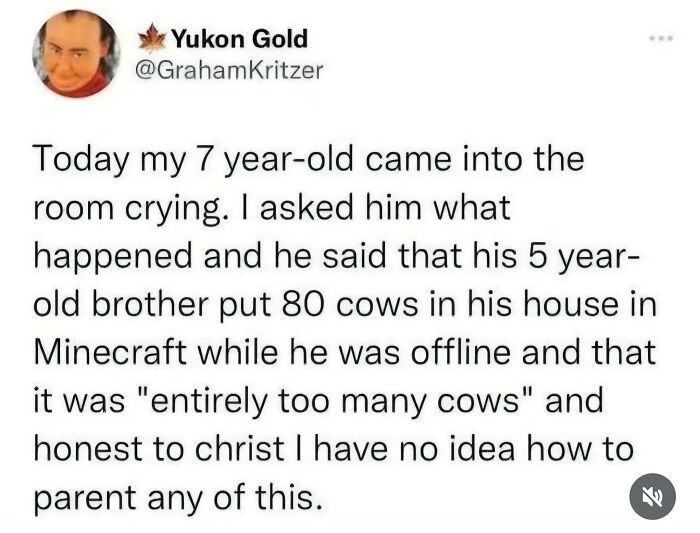So Many Cows