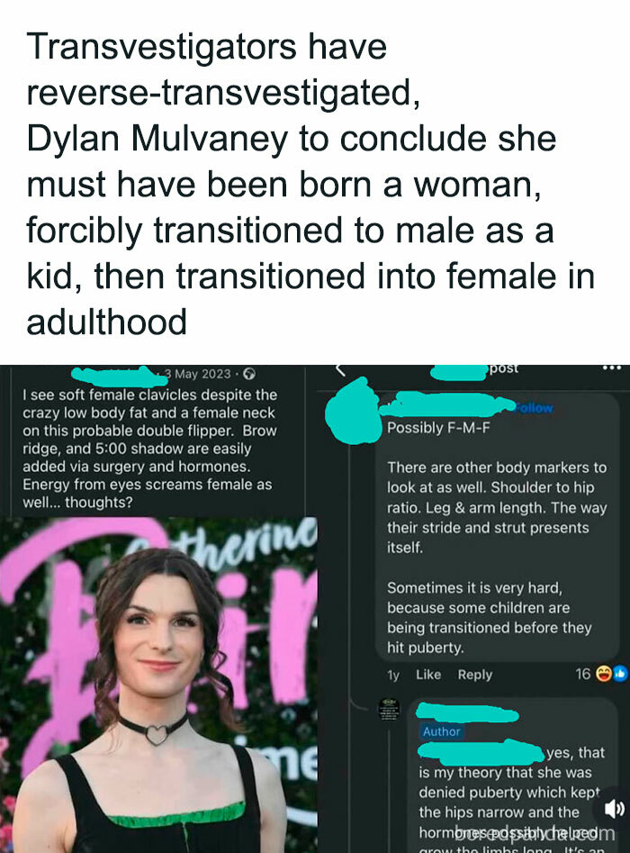Now They’re Cis-vestigating Things!