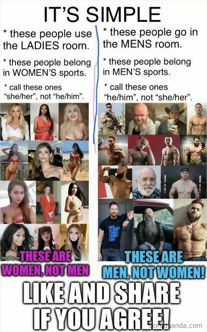 Step 1: Throw This In Your Transphobic Circle. Step 2: Watch Them Agree!