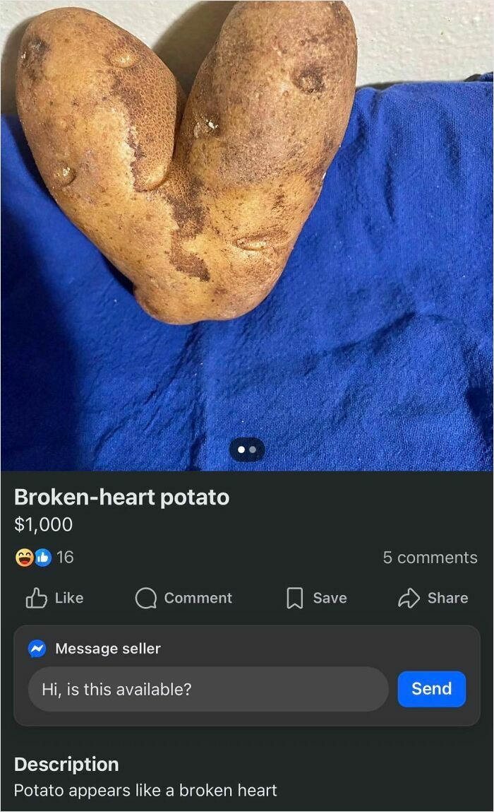 Opened Marketplace And This Was The First Thing I Spot