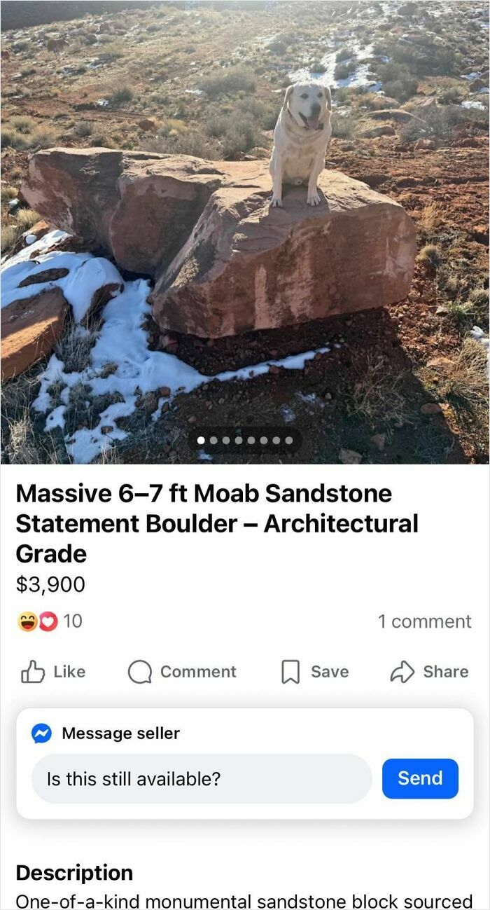 Almost $4K For A Rock? I Can Dig One Up For Free Outside!