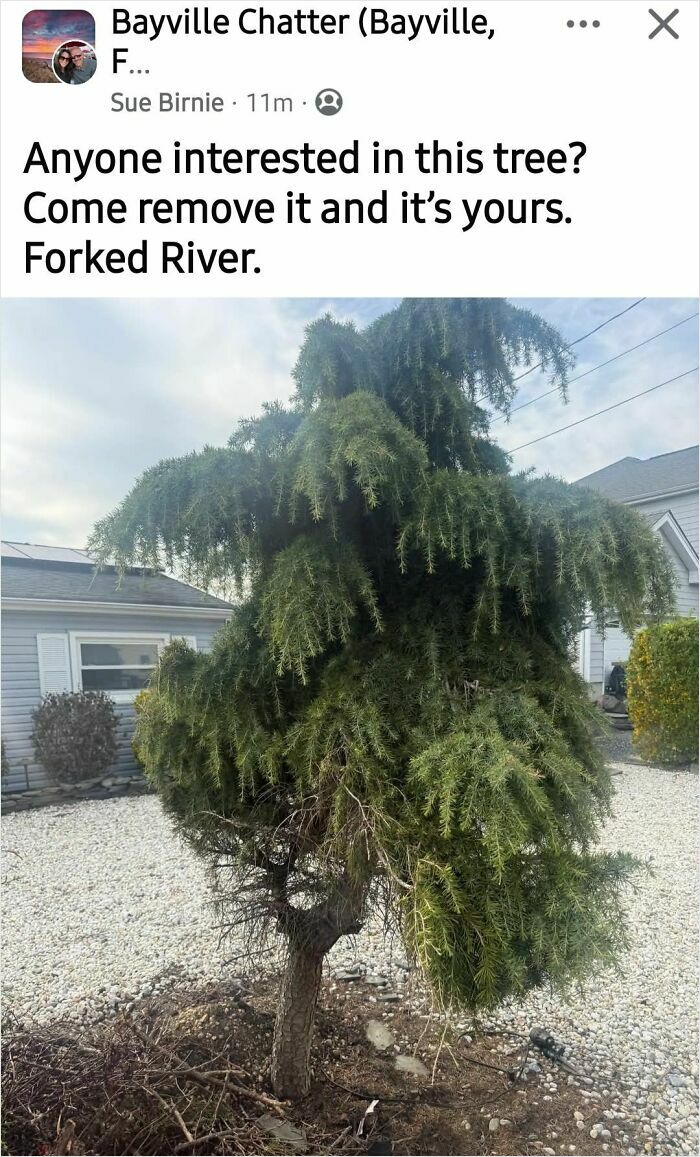 Ummm... What?