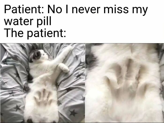 The Funniest Nurse Memes That Basically Speak Fluent Healthcare