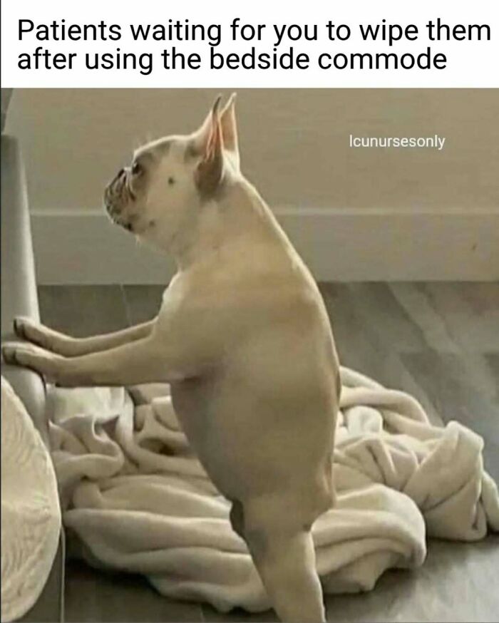 The Funniest Nurse Memes That Basically Speak Fluent Healthcare