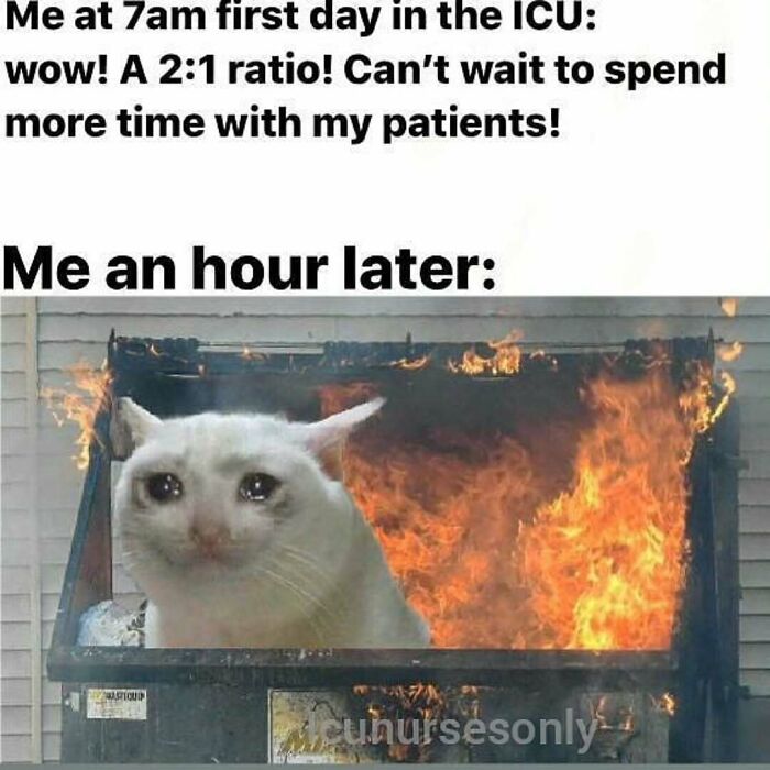 The Funniest Nurse Memes That Basically Speak Fluent Healthcare