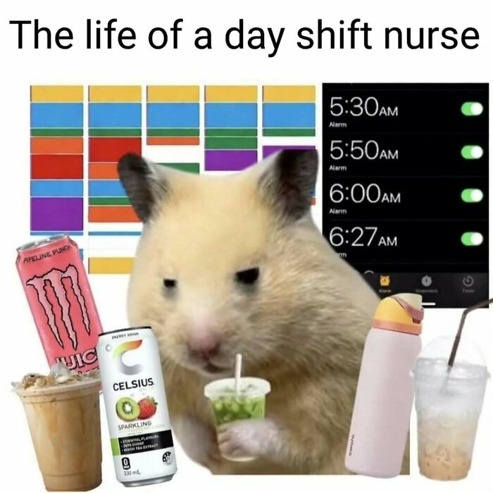 The Funniest Nurse Memes That Basically Speak Fluent Healthcare