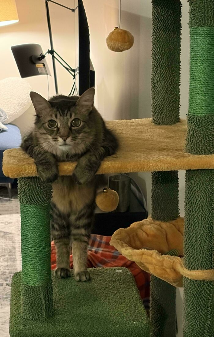 Why Does Walter Stand Like This?! He Hung Out Like This for Ten Minutes