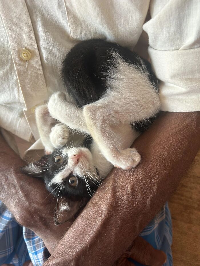 Cuddle Alert: Hold Me (Please!)