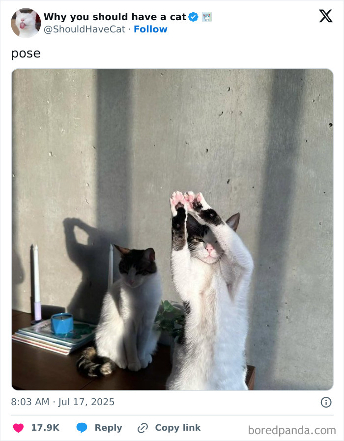 Strike That Pose!