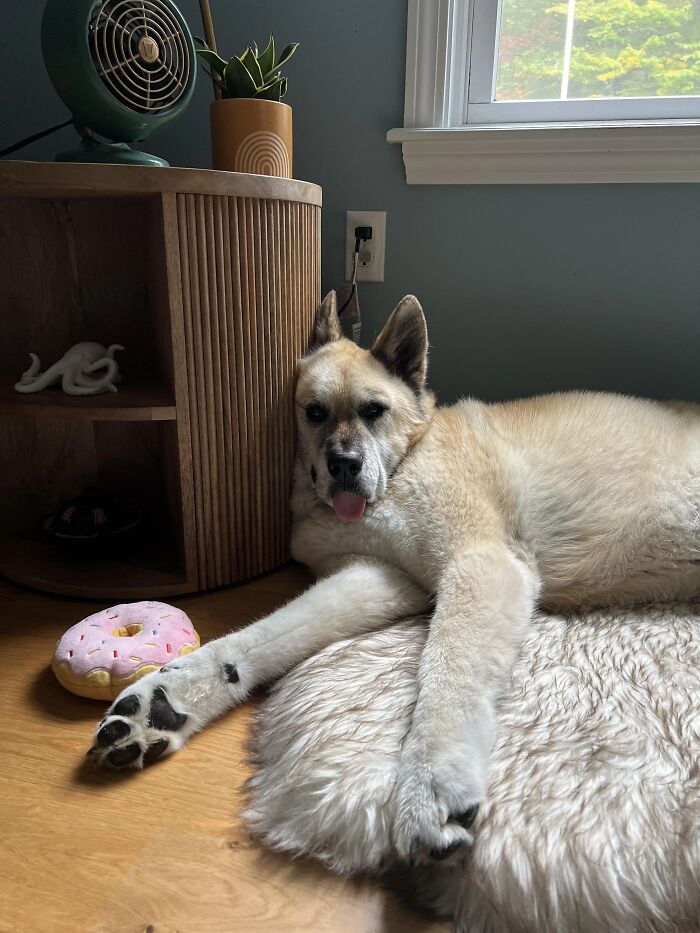 Comfort Level: Expert