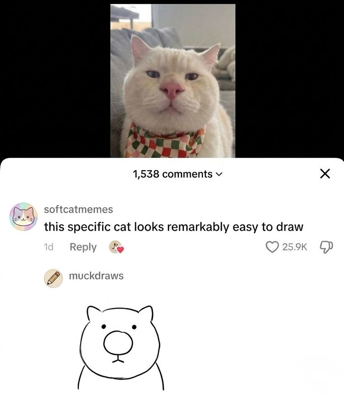 Wait Till You See These Hilarious Cat Memes That Will Totally Make Your Day!
