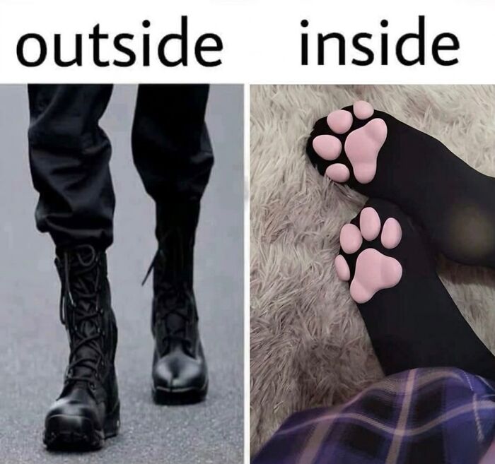 Wait Till You See These Hilarious Cat Memes That Will Totally Make Your Day!