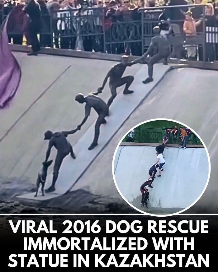 32 Doggo Tales That Totally Made Our Day (Get Ready to Smile!)