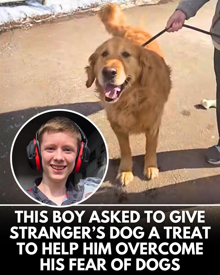 32 Doggo Tales That Totally Made Our Day (Get Ready to Smile!)
