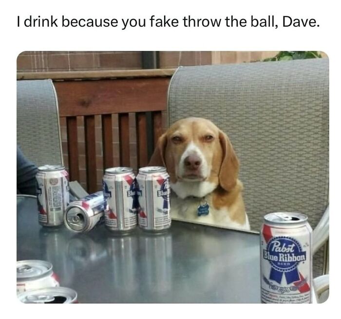 The Dog Memes That Nail Every Weird, Cute, and Totally Random Thing Dogs Do