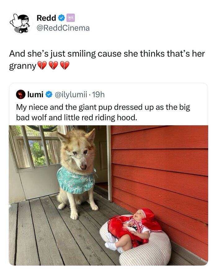 The Dog Memes That Nail Every Weird, Cute, and Totally Random Thing Dogs Do