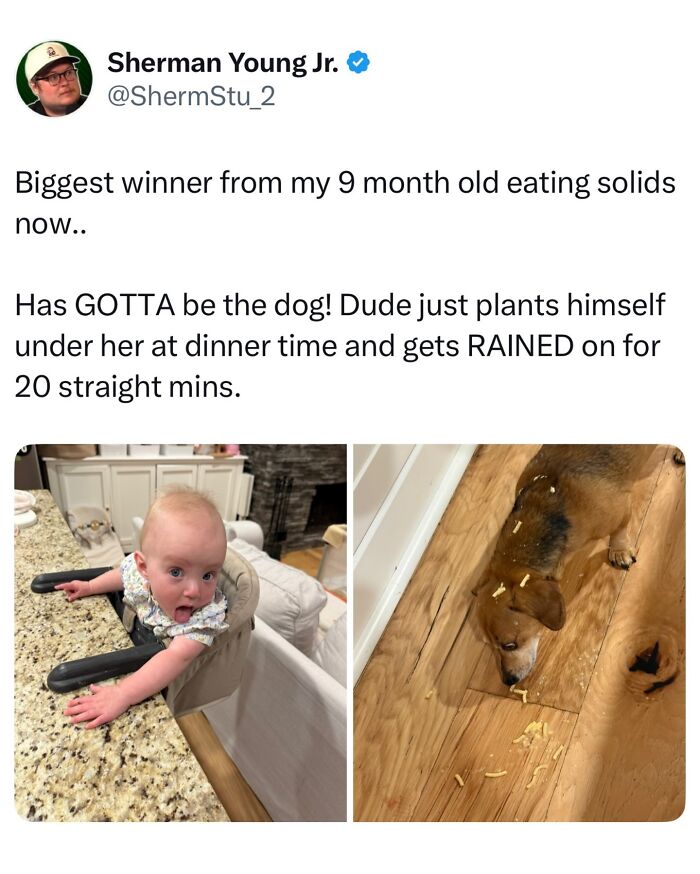 The Dog Memes That Nail Every Weird, Cute, and Totally Random Thing Dogs Do