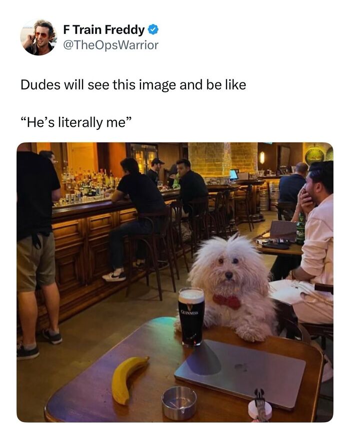 The Dog Memes That Nail Every Weird, Cute, and Totally Random Thing Dogs Do