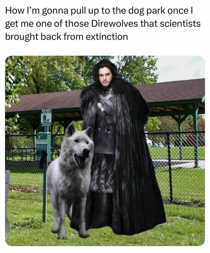 The Dog Memes That Nail Every Weird, Cute, and Totally Random Thing Dogs Do
