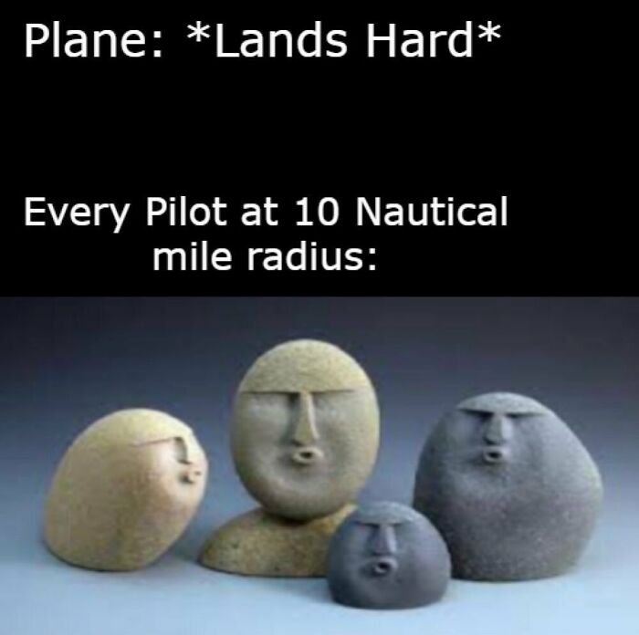62 Aviation Memes That Prove Pilots And Passengers Are From Different Planets