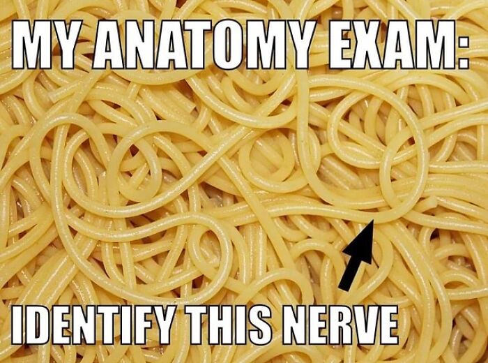 These 71 Medical Memes Are So Good, They Might Just Cure Your Monday Blues