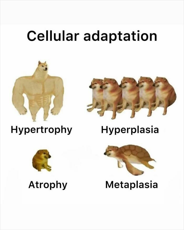 These 71 Medical Memes Are So Good, They Might Just Cure Your Monday Blues