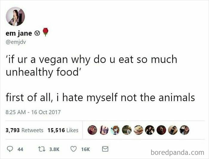 69 Vegan Memes That Are Surprisingly Hilarious