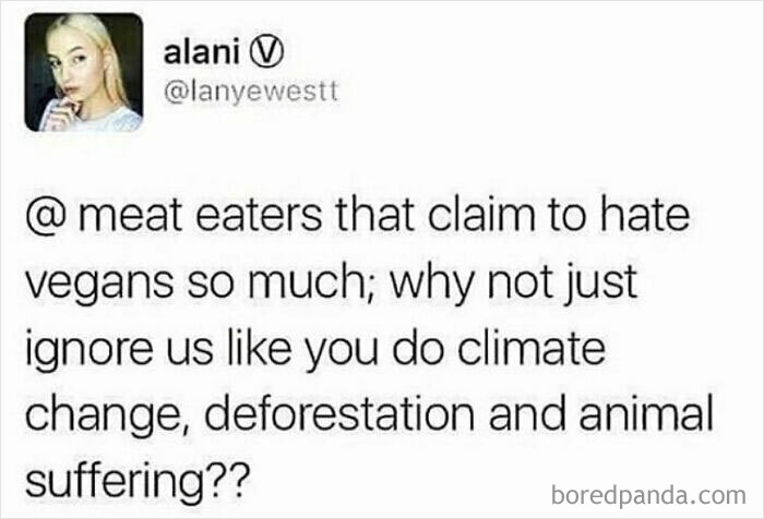 69 Vegan Memes That Are Surprisingly Hilarious