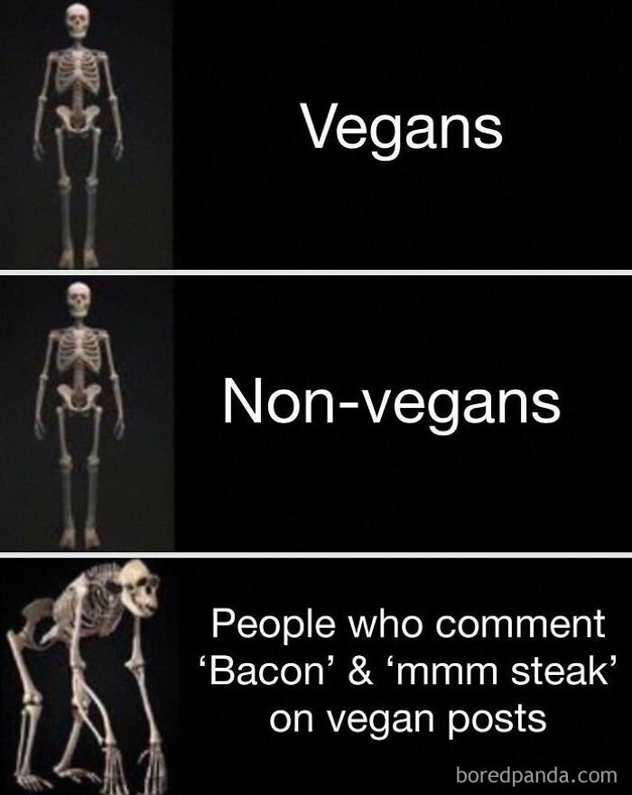 69 Vegan Memes That Are Surprisingly Hilarious