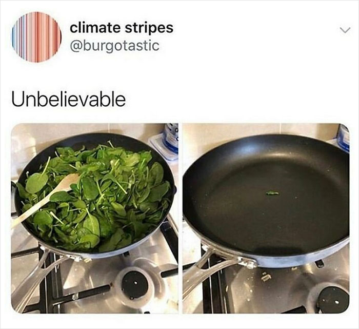 69 Vegan Memes That Are Surprisingly Hilarious