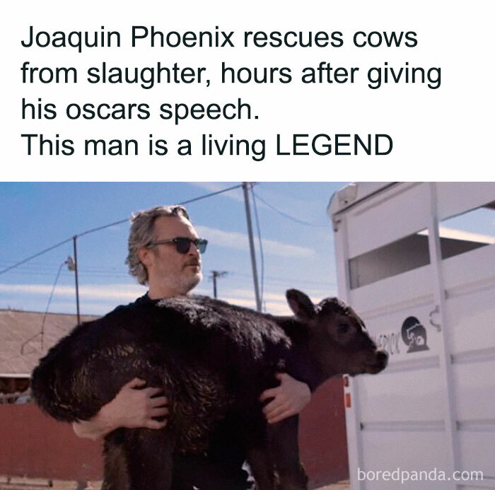 69 Vegan Memes That Are Surprisingly Hilarious