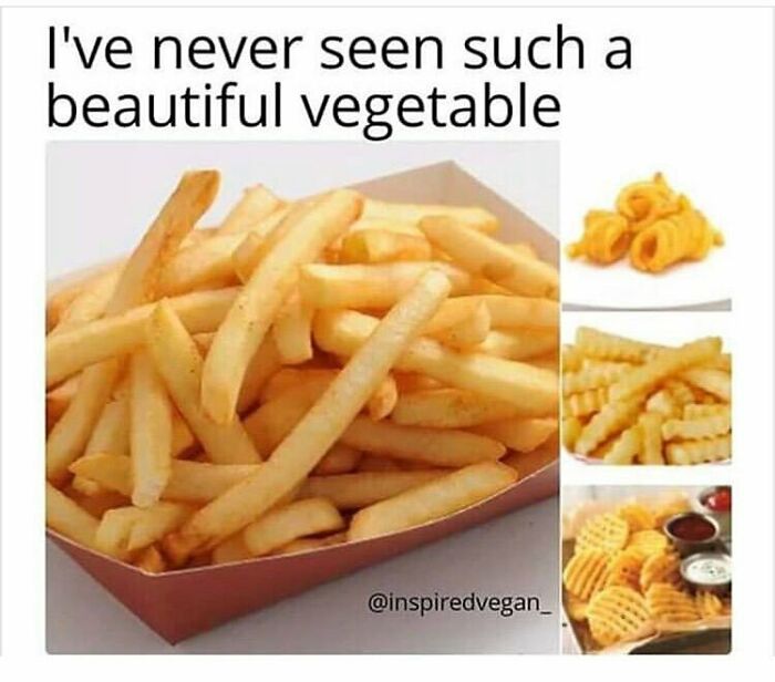 69 Vegan Memes That Are Surprisingly Hilarious