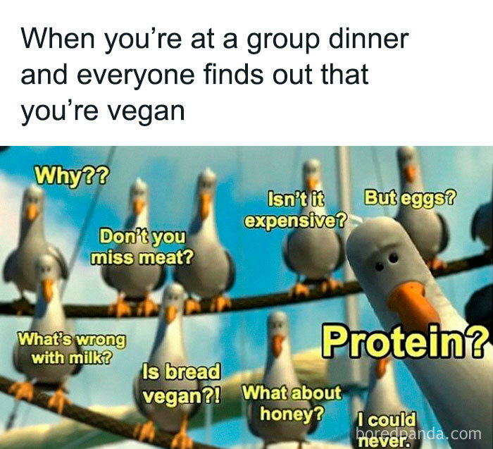 69 Vegan Memes That Are Surprisingly Hilarious