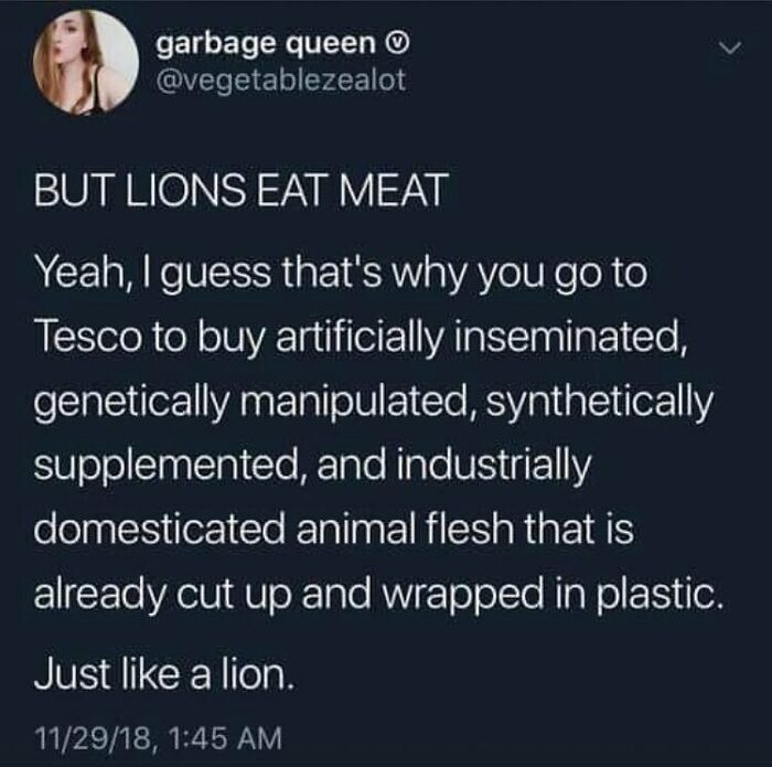 69 Vegan Memes That Are Surprisingly Hilarious